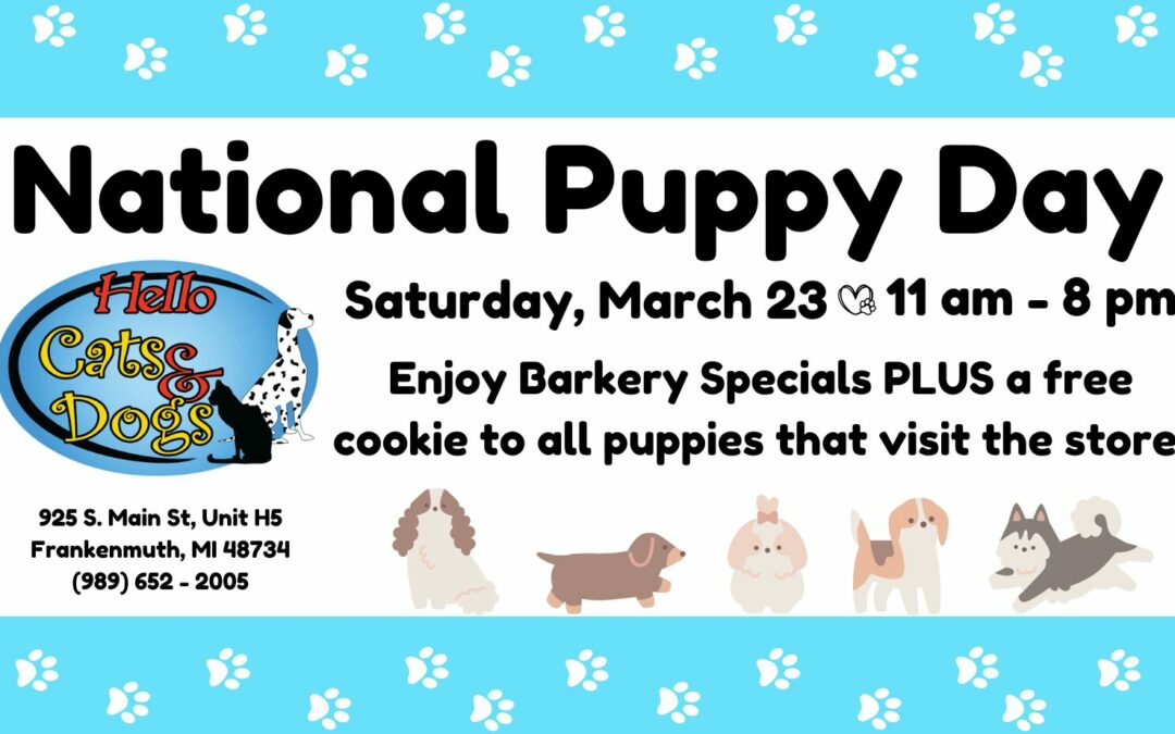 National Puppy Day at Hello Cats & Dogs