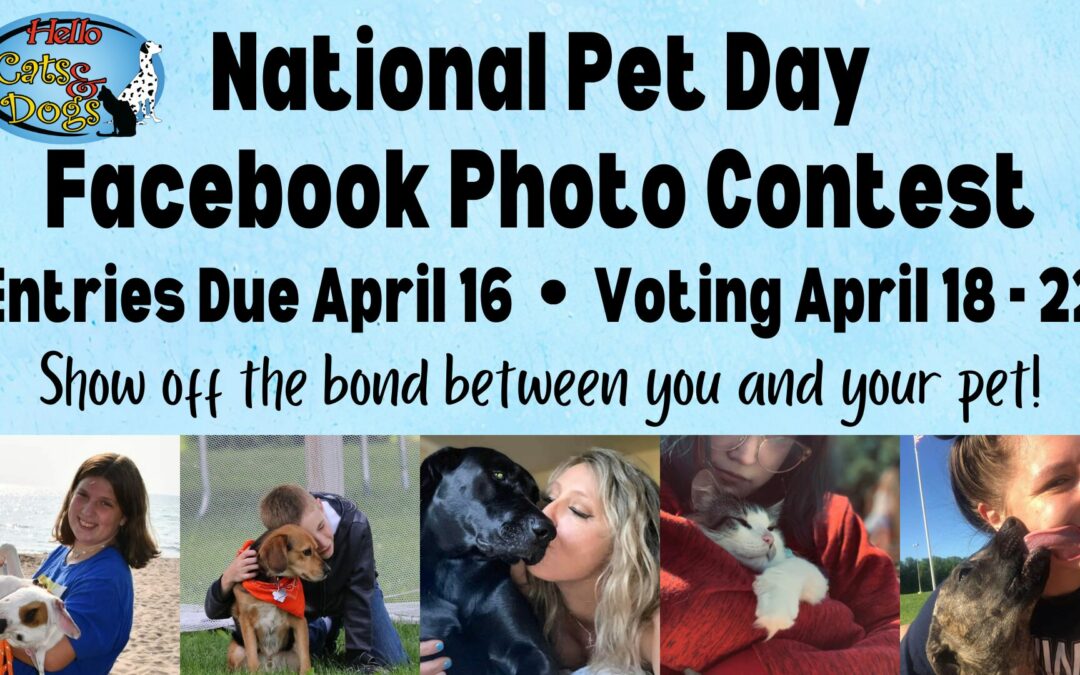 National Pet Day Facebook Photo Contest